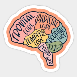 Anatomical brain Sticker